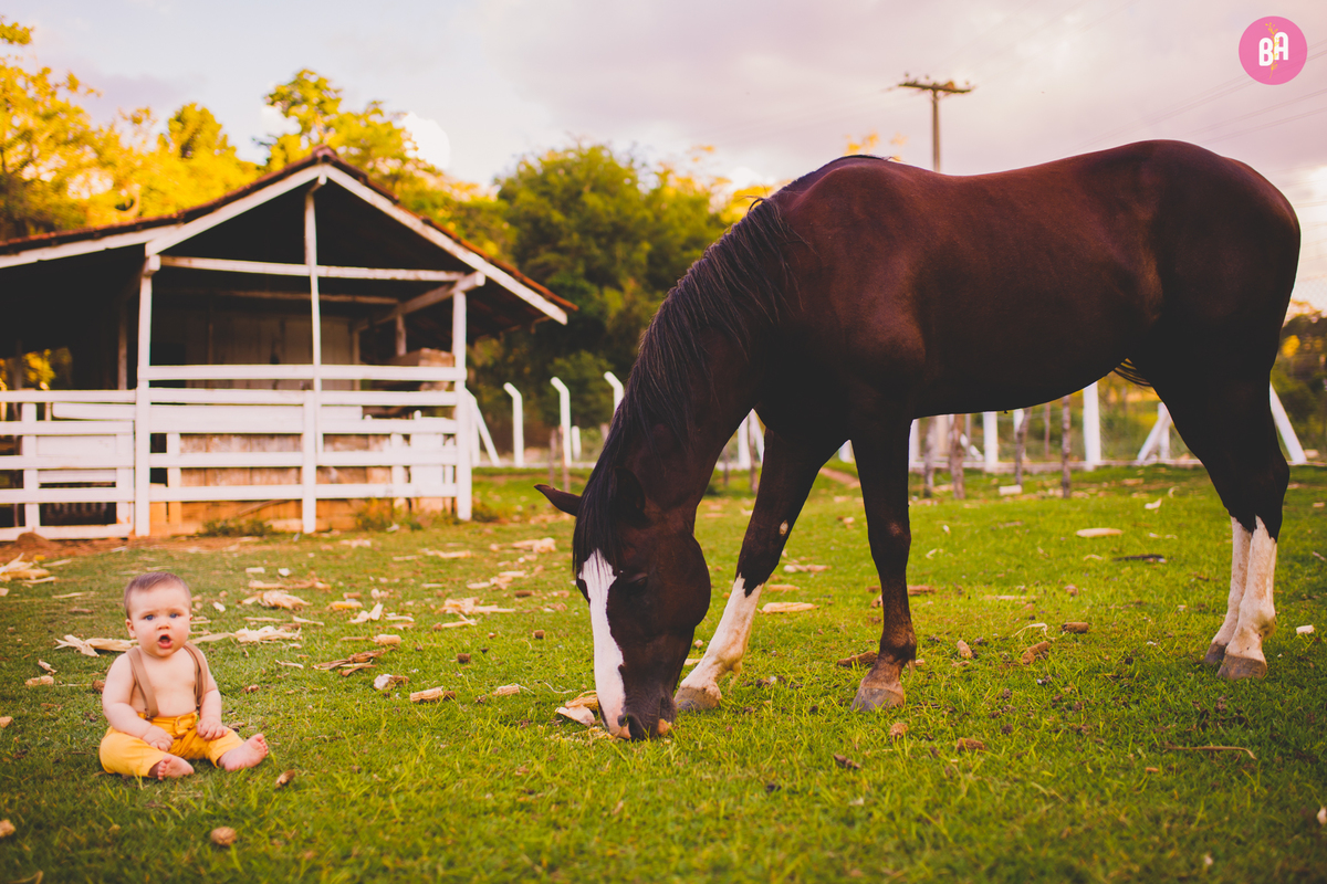 fotografa familia curitiba - ensaio externo bebe antonio