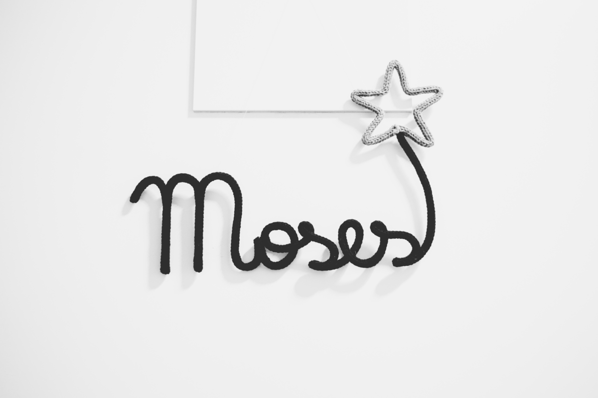 fotografa família curitiba nascimento moses santa brígida