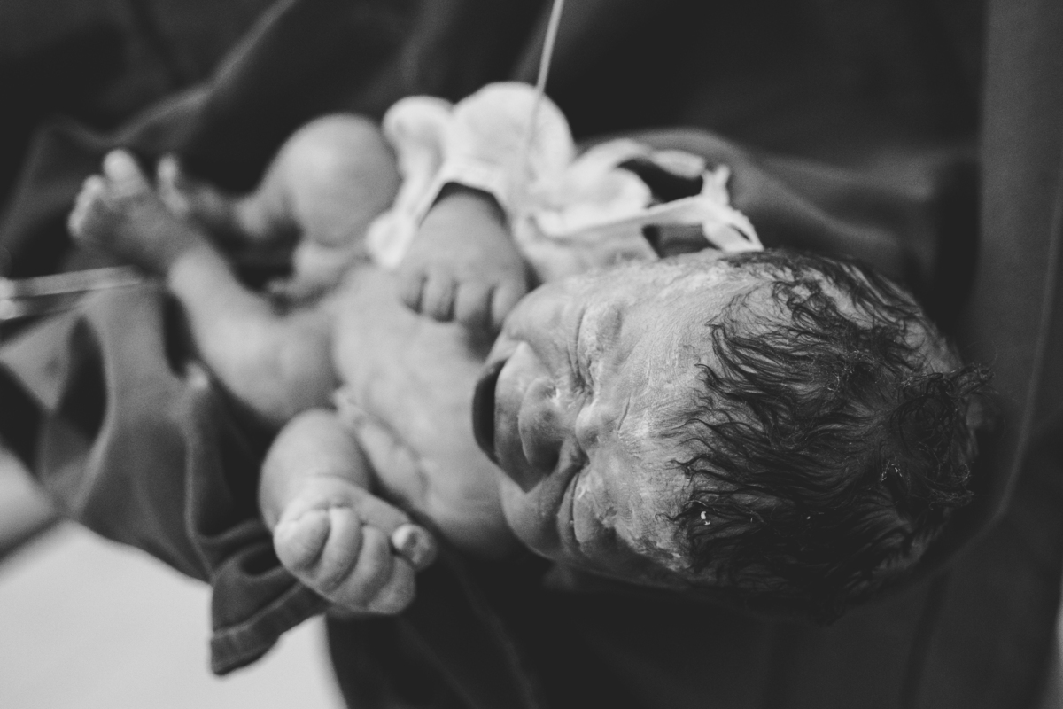 fotografa família curitiba nascimento moses santa brígida