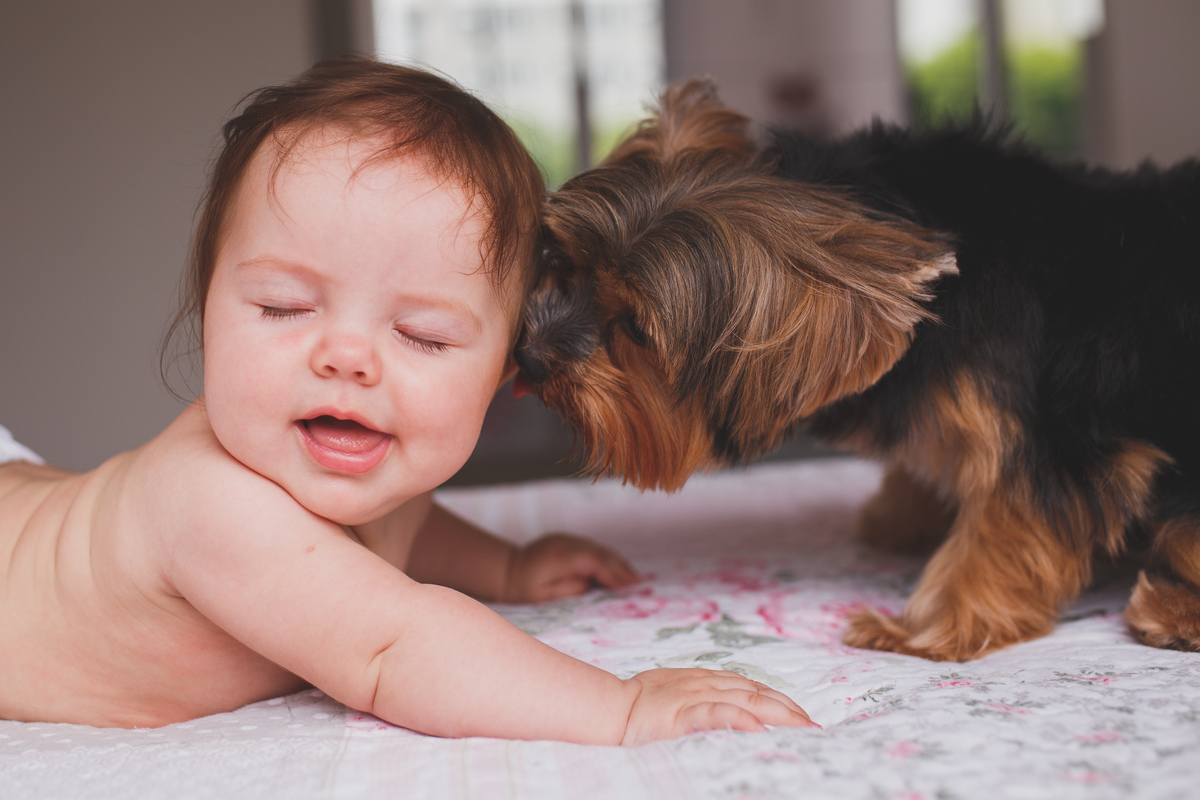 fotografa familia curitiba acompanhamento trimestral moana