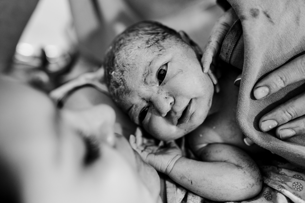 fotografa família curitiba nascimento catarina santa cruz