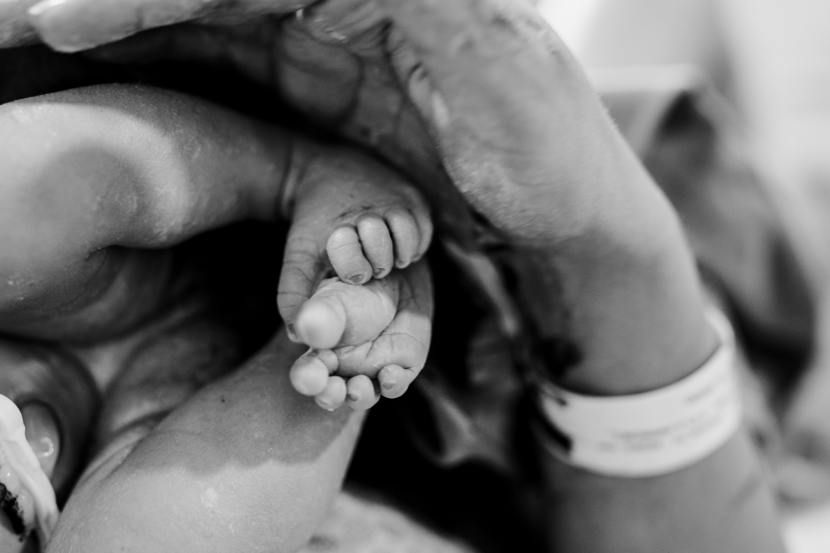 fotografa família curitiba nascimento catarina santa cruz