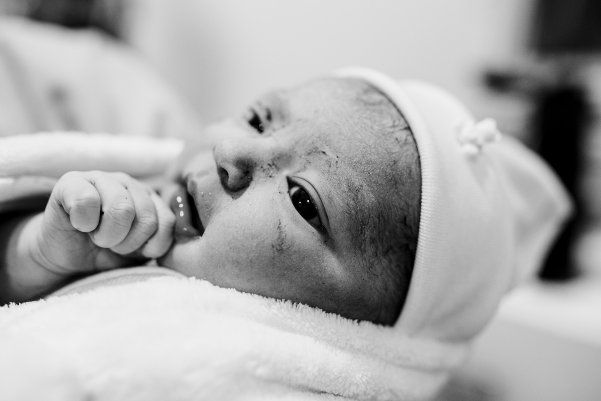 fotografa família curitiba nascimento catarina santa cruz