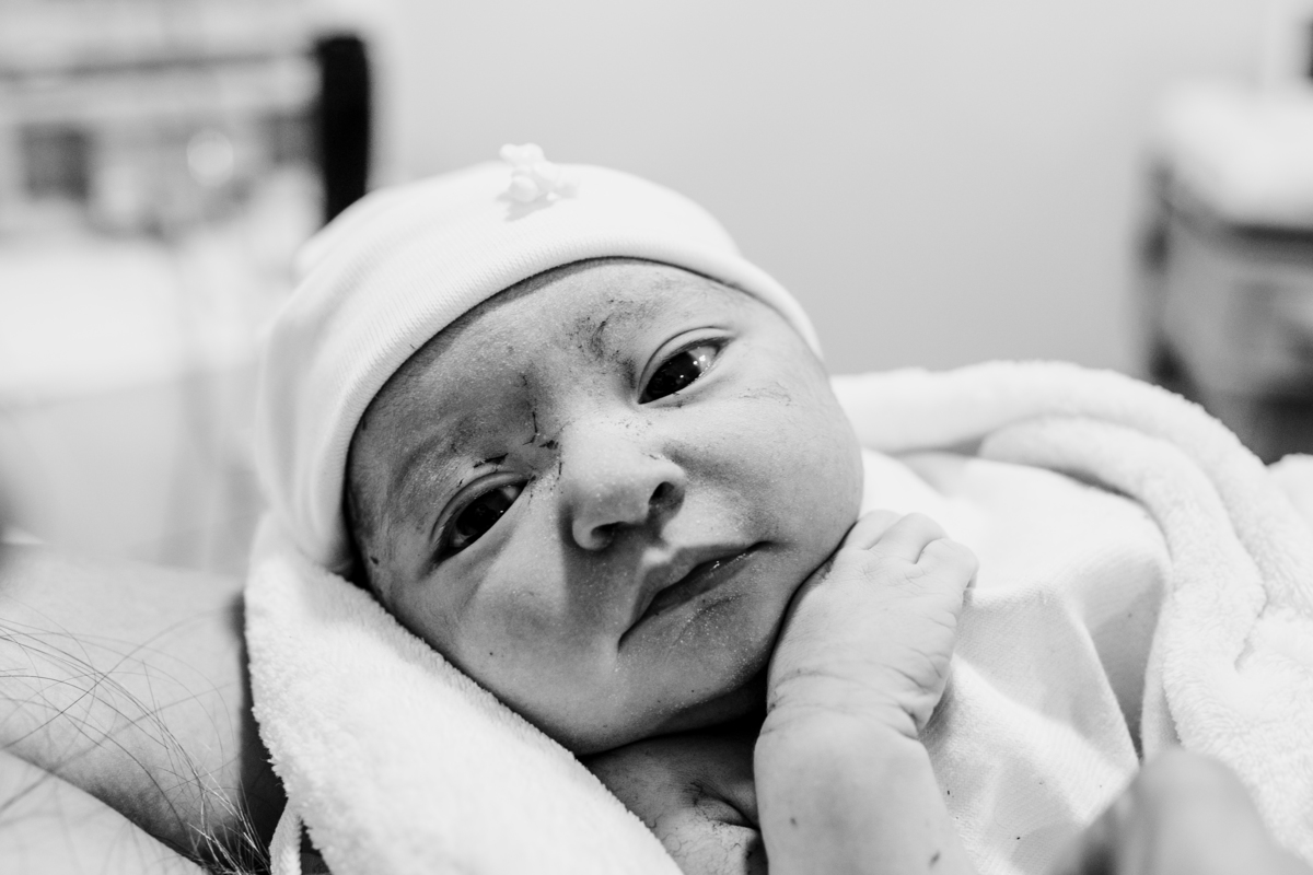 fotografa família curitiba nascimento catarina santa cruz