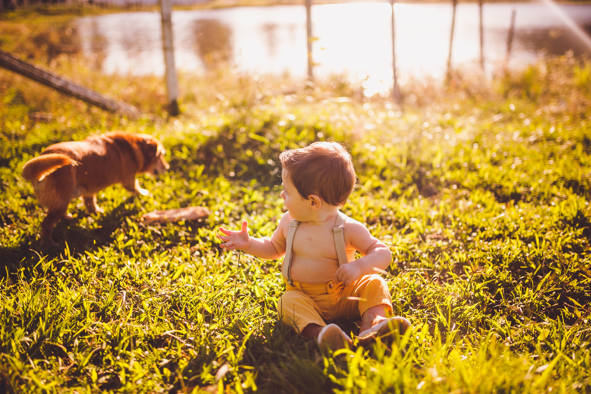 fotografa família curitiba ensaio externo andre