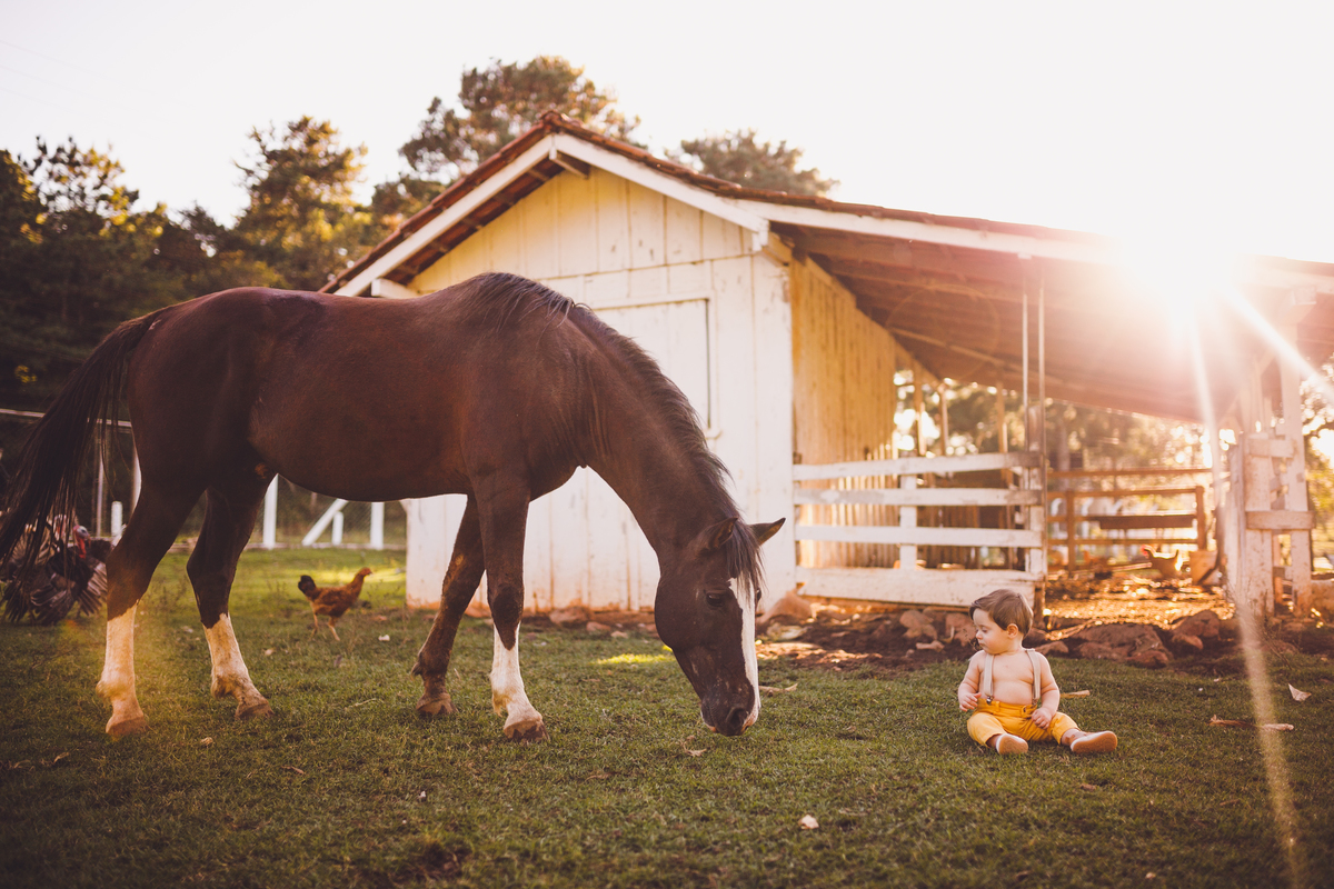 fotografa família curitiba ensaio externo andre