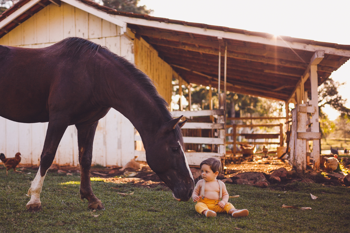 fotografa família curitiba ensaio externo andre