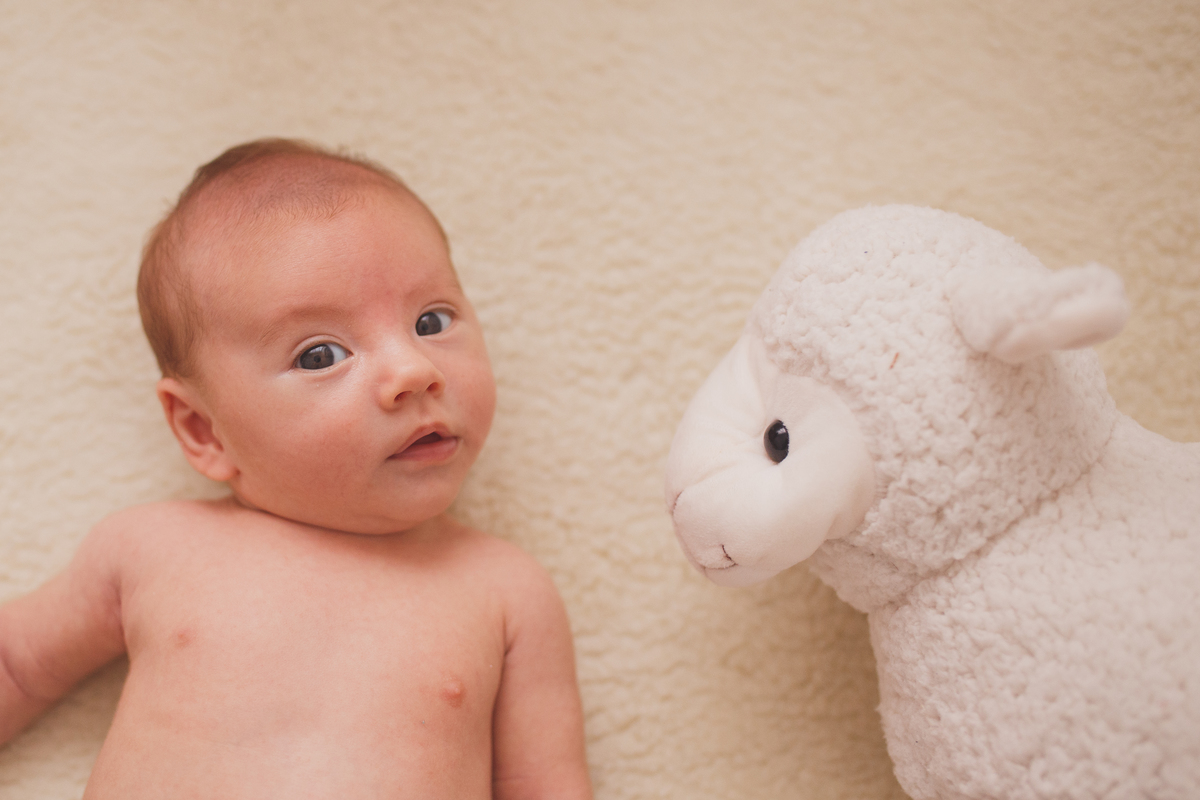 fotografa familia curitiba ensaio estudio acompanhamento mensal artur 2 meses