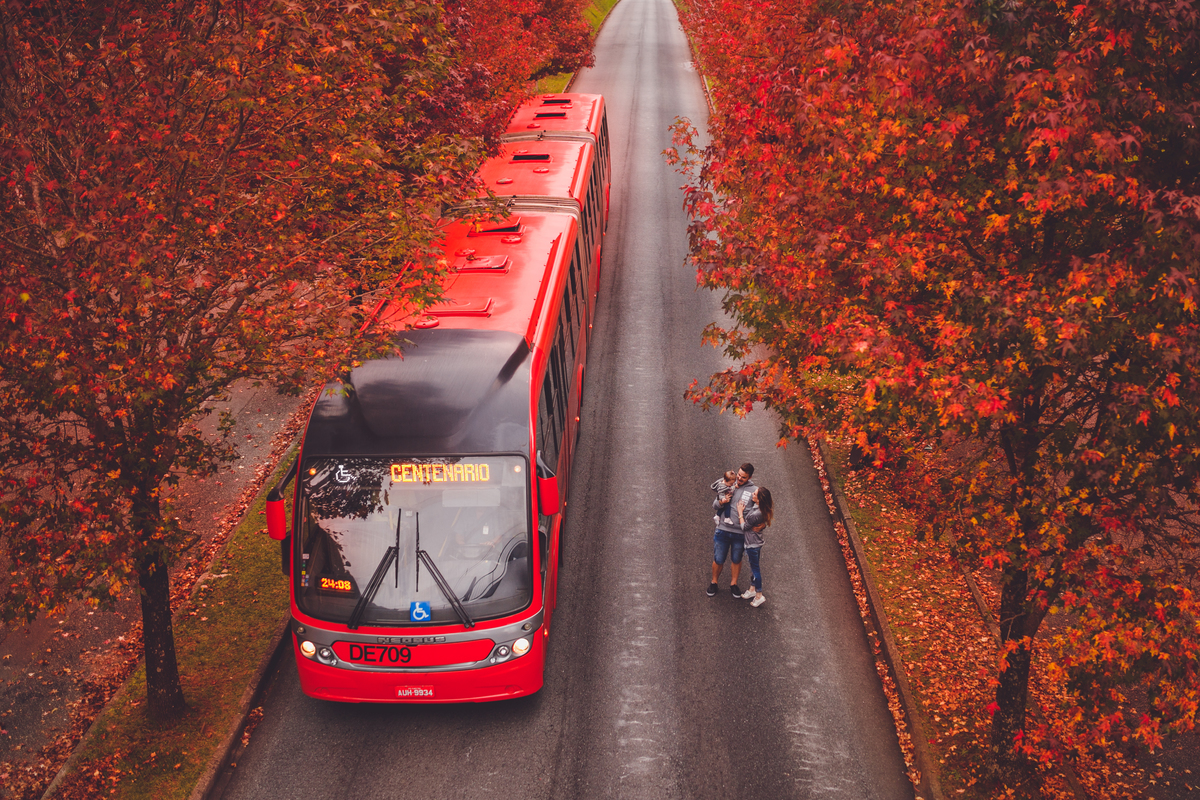fotografa familia curitiba ensaio externo moana acompanhamento