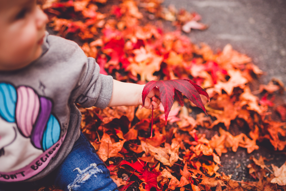 fotografa familia curitiba ensaio externo moana acompanhamento
