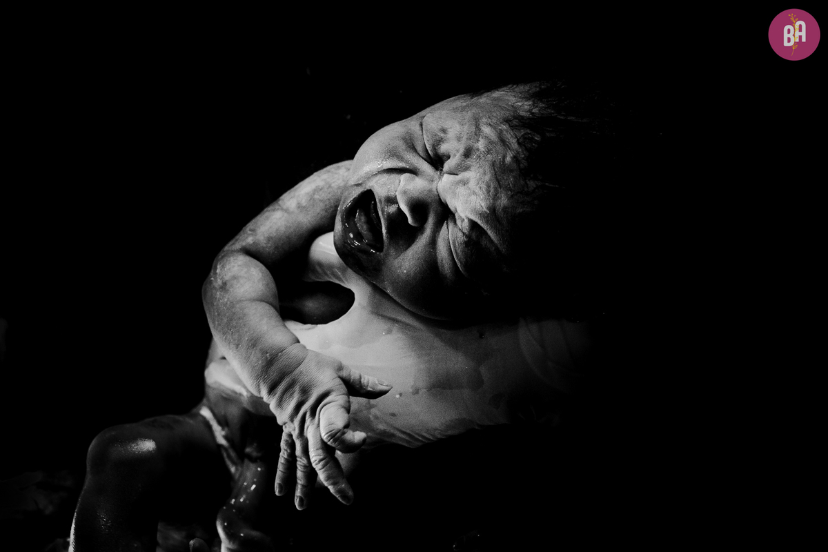 fotografa familia curitiba - nascimento Alvaro