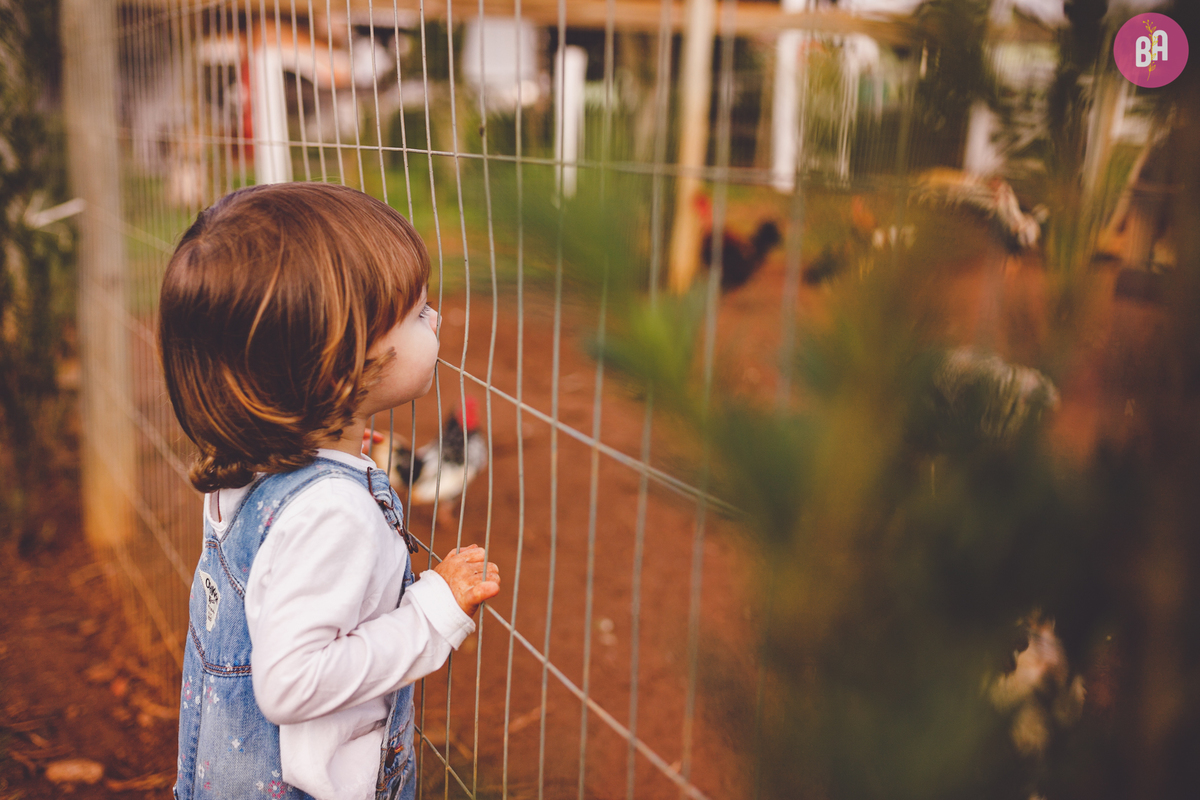 fotografa familia curitiba - ensaio externo witmarzoo curitibafotografa familia curitiba - ensaio externo witmarzoo curitiba