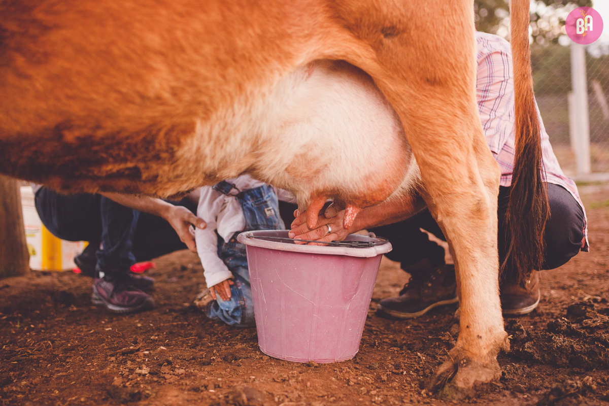 fotografa familia curitiba - ensaio externo witmarzoo curitiba