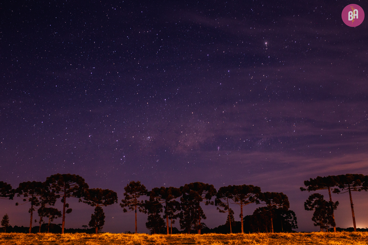 fotografa familia curitiba - acompanhamento bimestral - ensaio externo nascer do sol - bebe