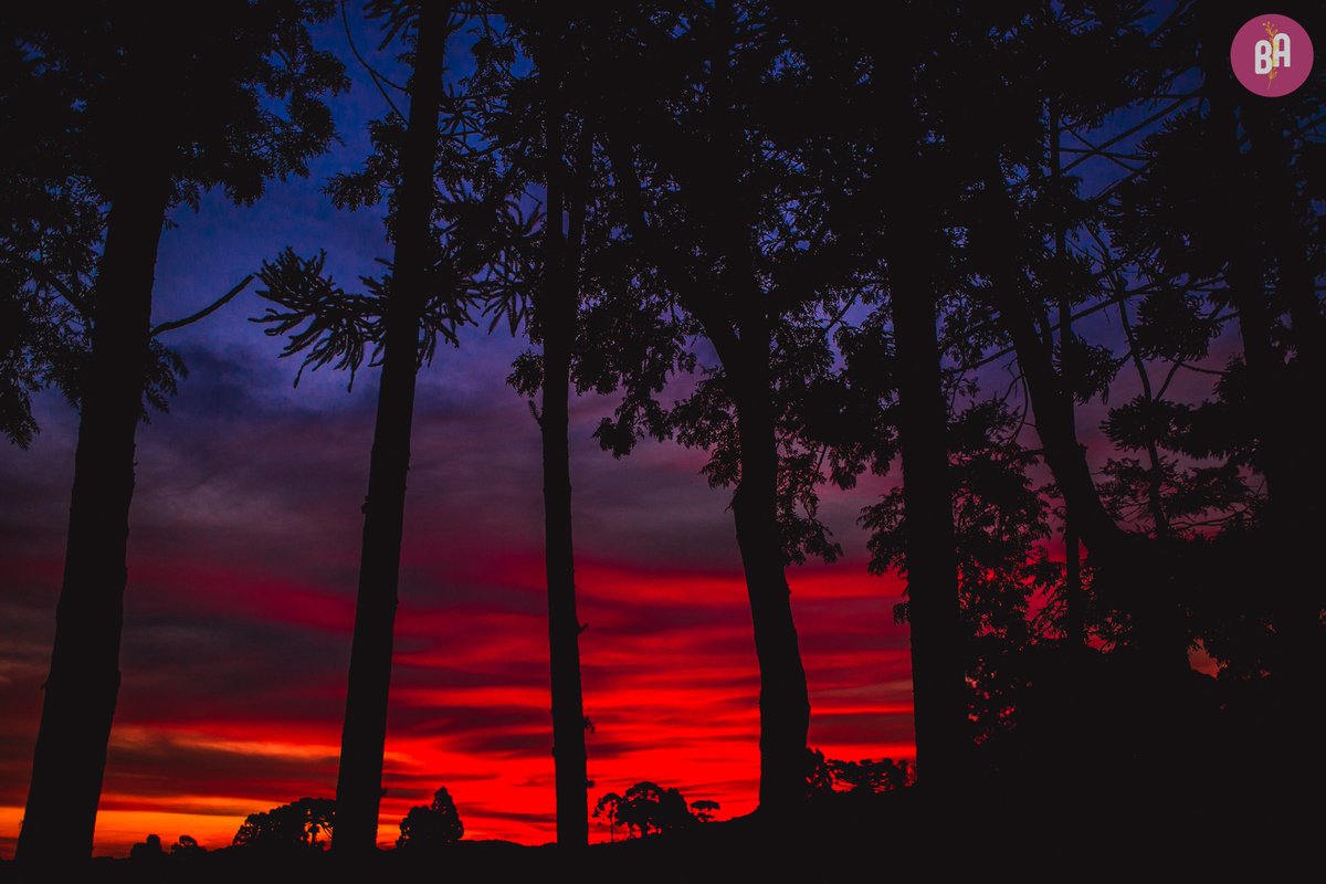fotografa familia curitiba - acompanhamento externo 9 meses