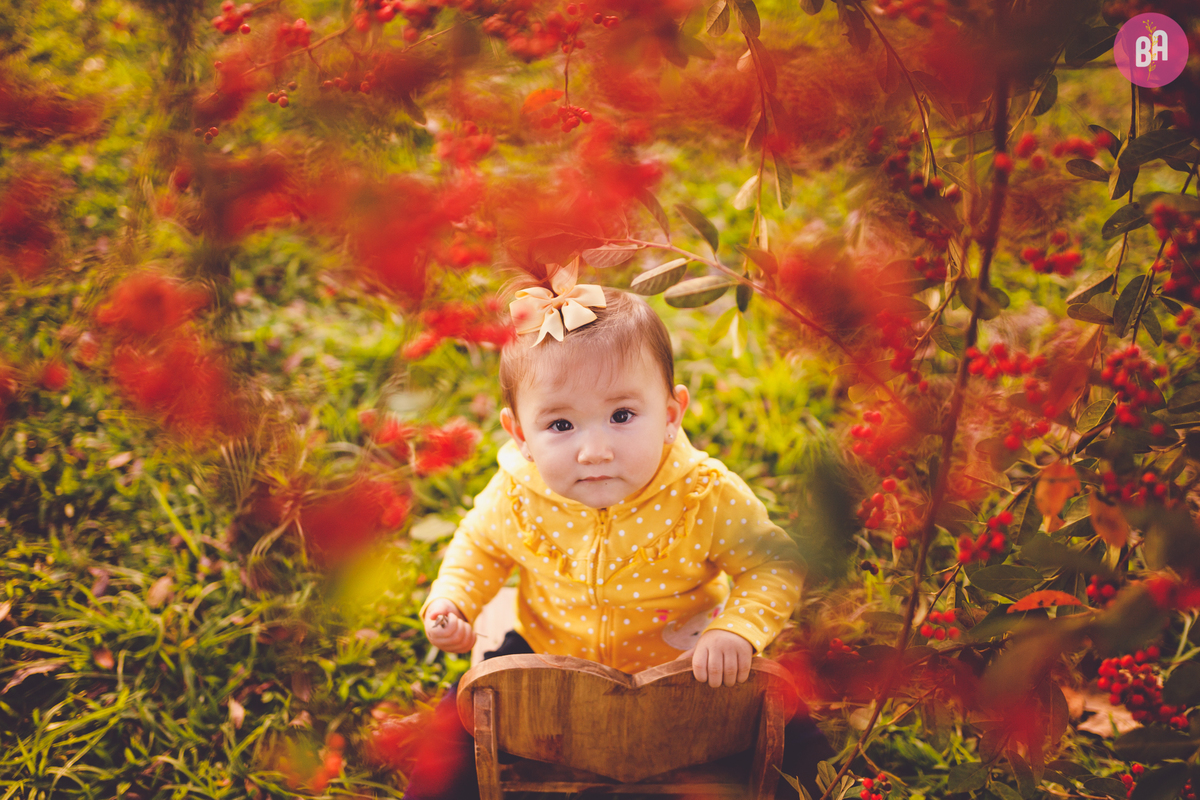 fotografa familia curitiba - acompanhamento externo 9 meses