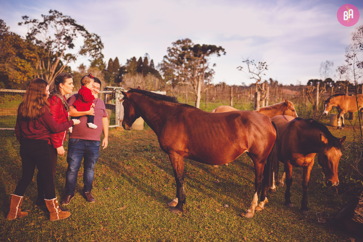 fotografa familia curitiba - acompanhamento externo 9 meses