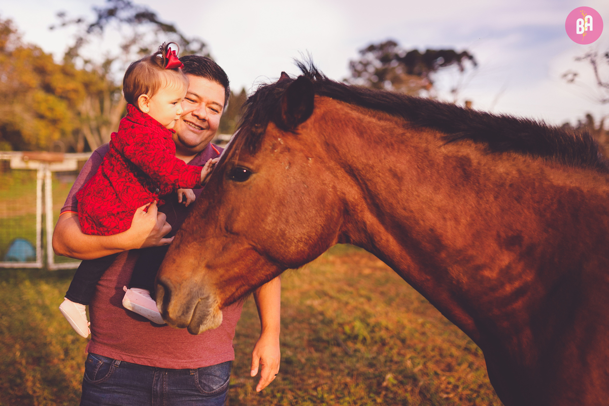 fotografa familia curitiba - acompanhamento externo 9 meses