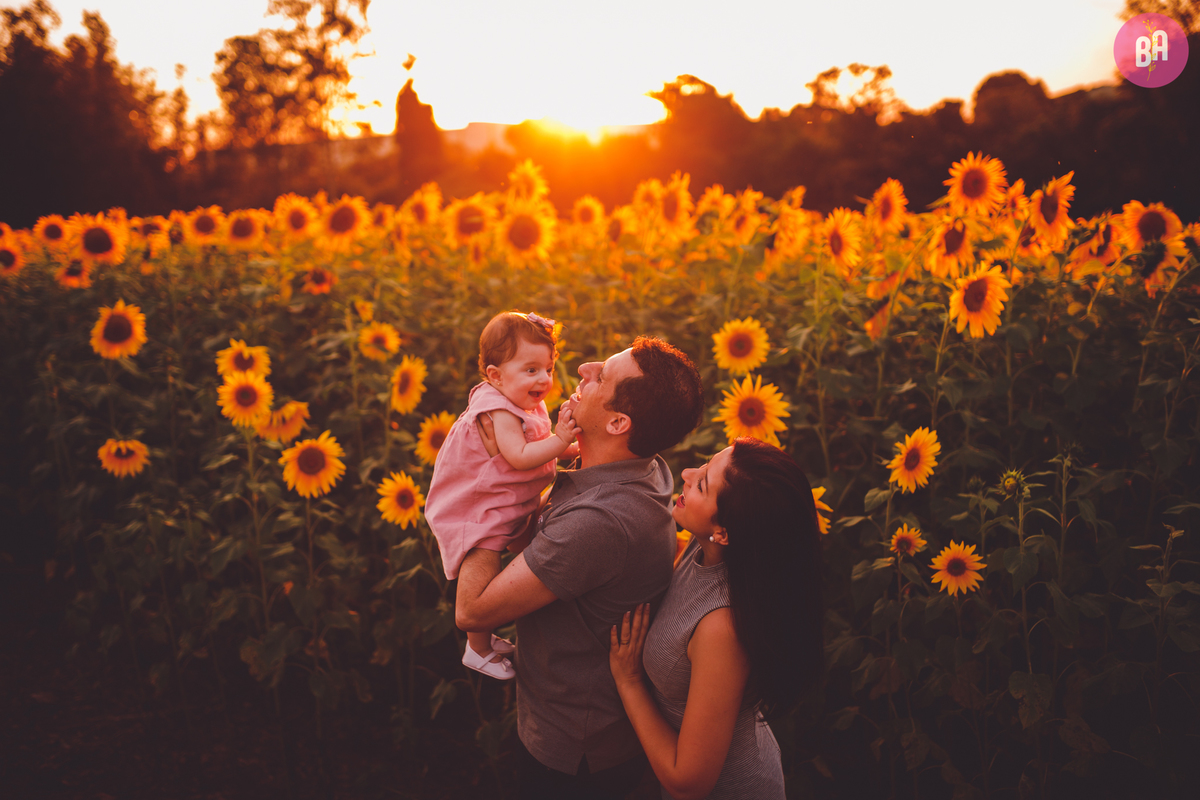 fotografa familia curitiba - ensaio externo girassol