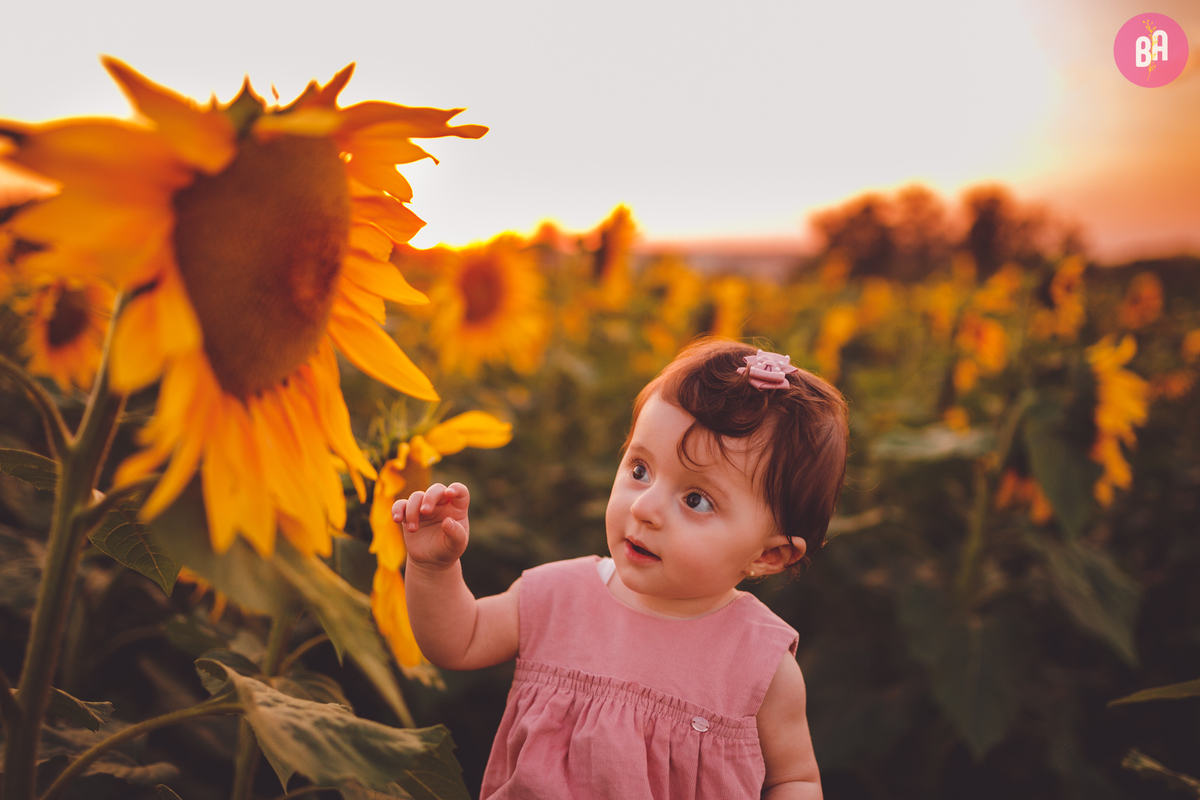 fotografa familia curitiba - ensaio externo girassol