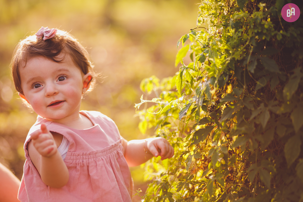 fotografa familia curitiba - ensaio externo girassol