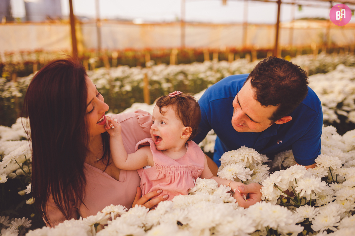 fotografa familia curitiba - ensaio externo girassol