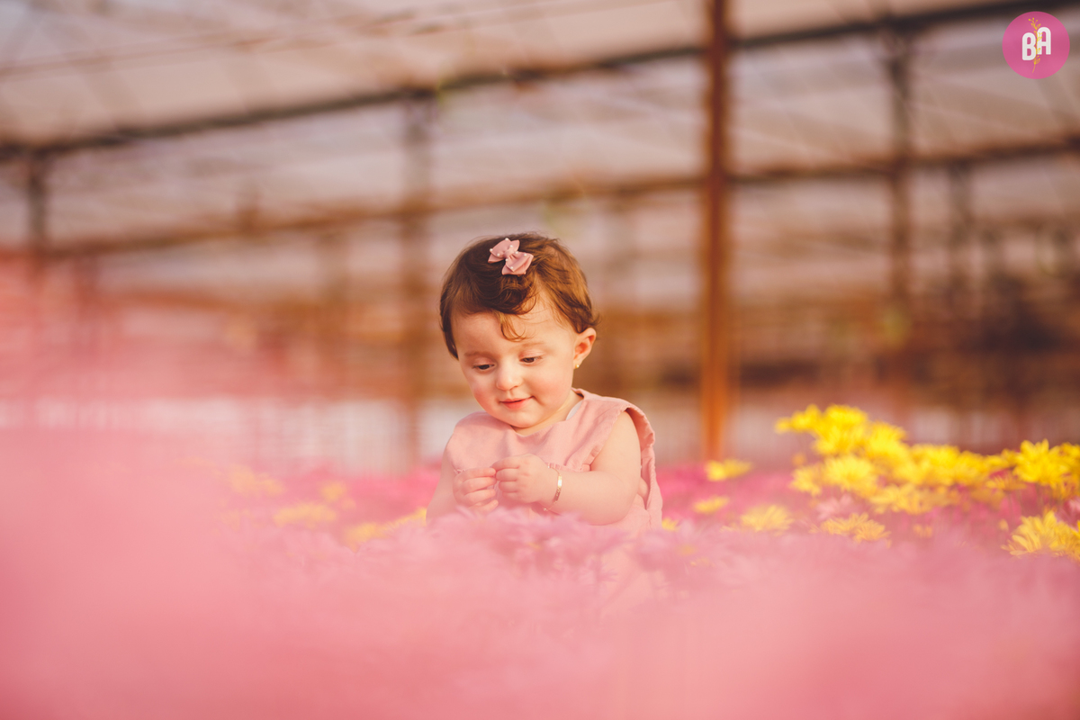 fotografa familia curitiba - ensaio externo girassol