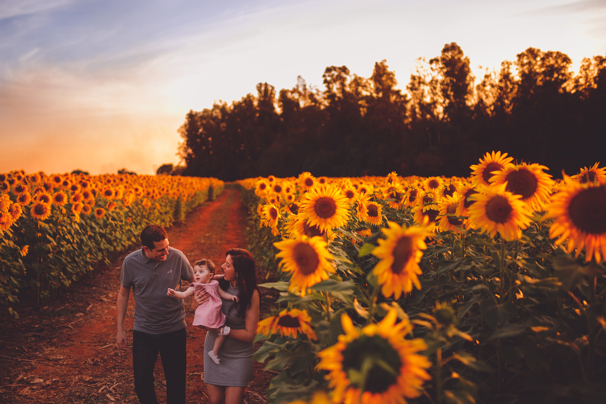 fotografa familia curitiba - ensaio externo girassol