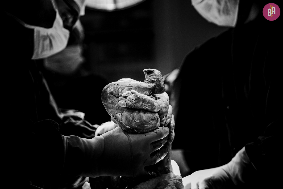 fotografa familia curitiba - nascimento hospital Santa Cruz - henrique