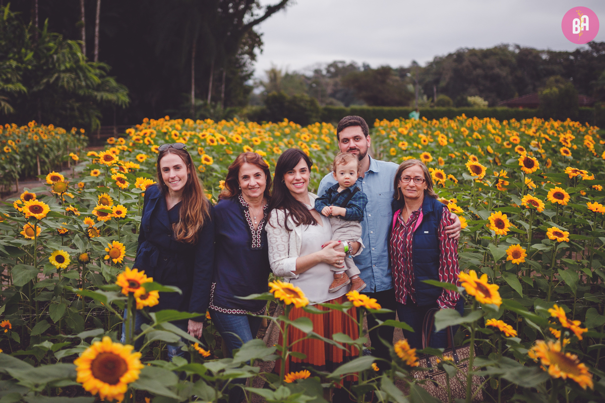 fotografa familia curitiba - ensaio externo girassol Joinville