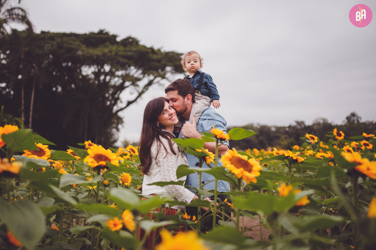 fotografa familia curitiba - ensaio externo girassol Joinville