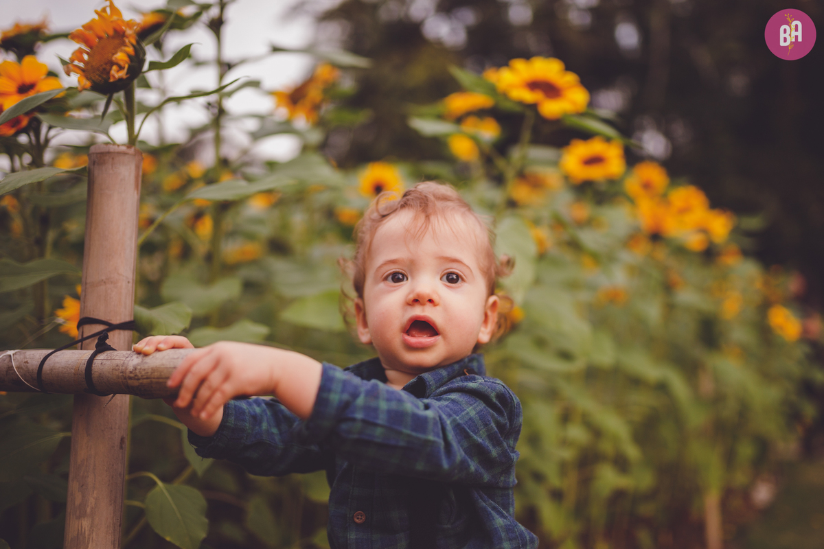 fotografa familia curitiba - ensaio externo girassol Joinville