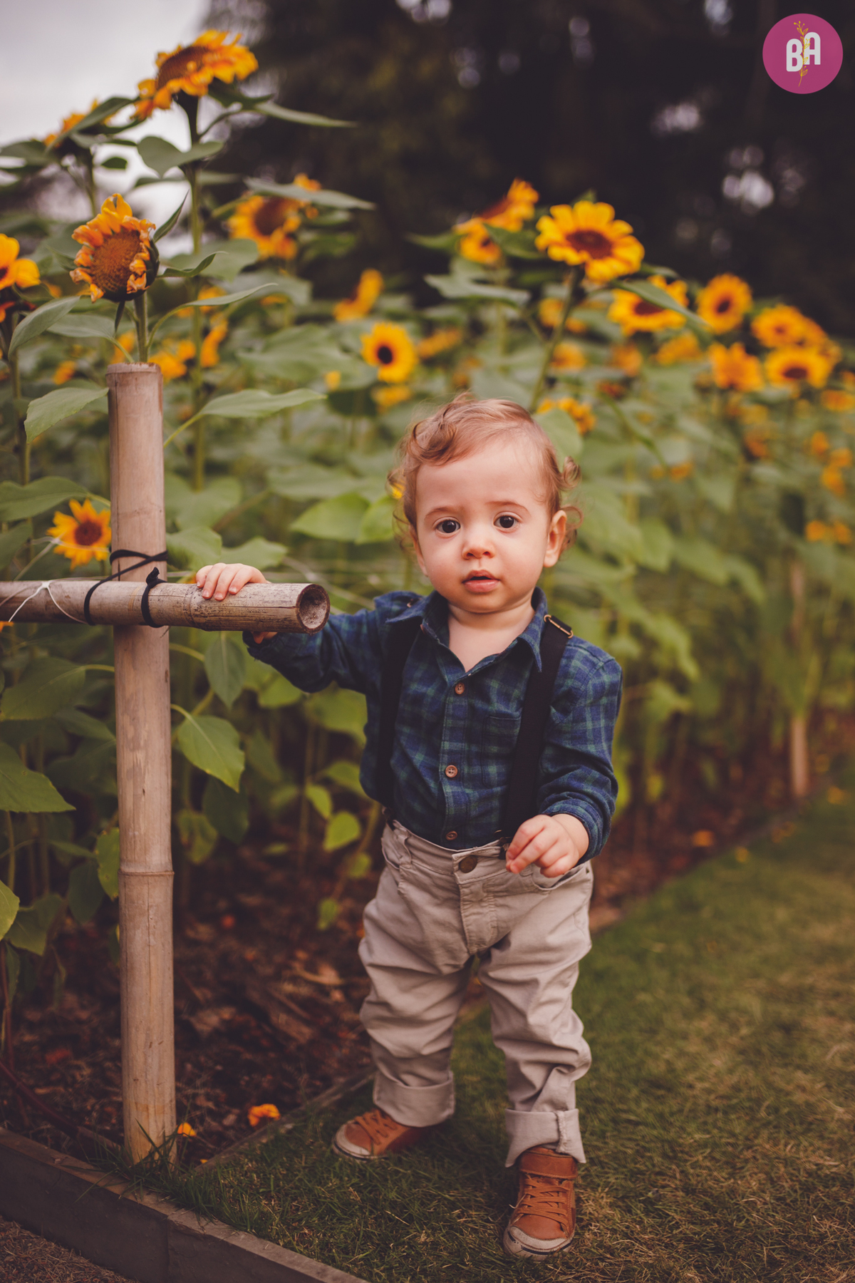fotografa familia curitiba - ensaio externo girassol Joinville