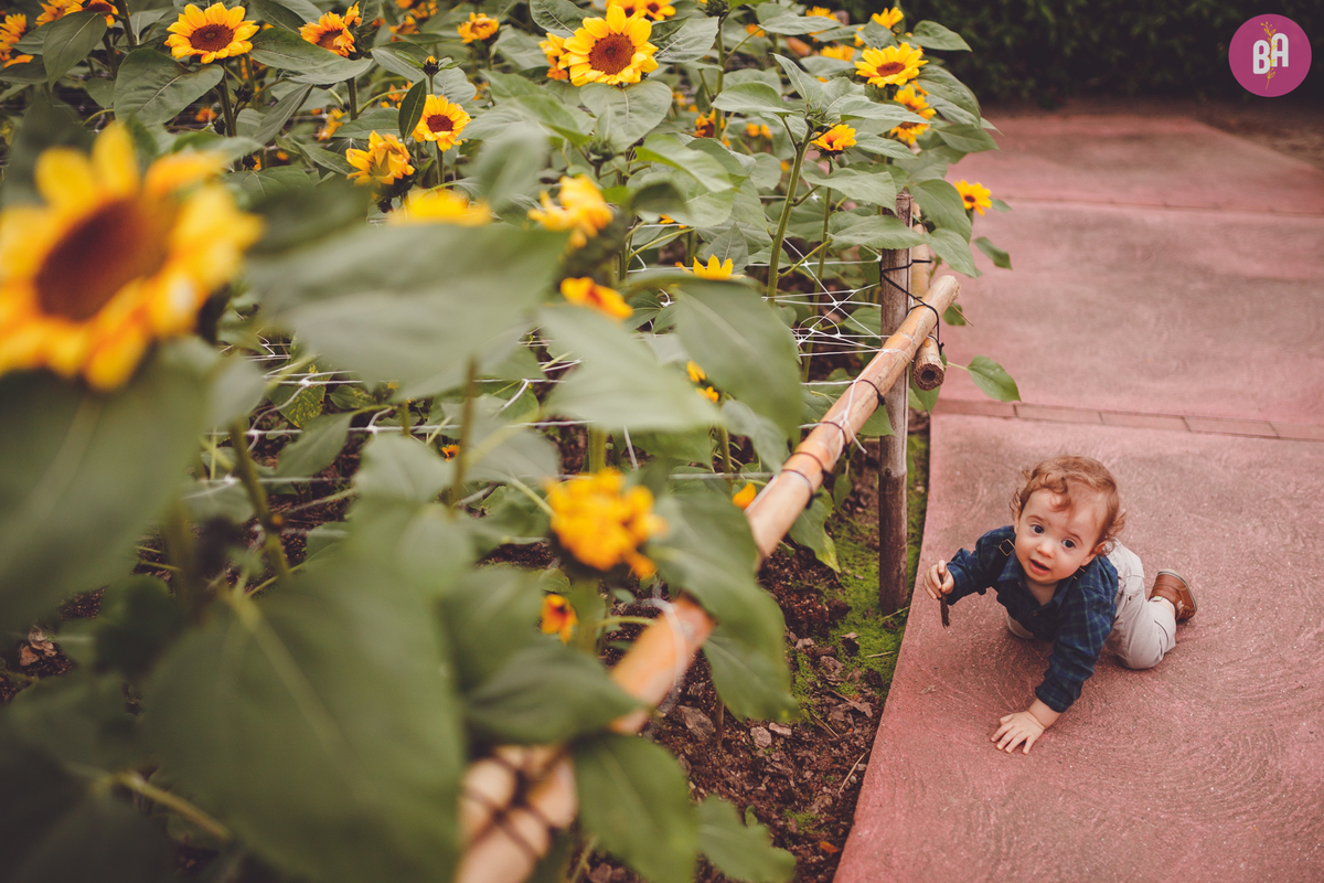 fotografa familia curitiba - ensaio externo girassol Joinville