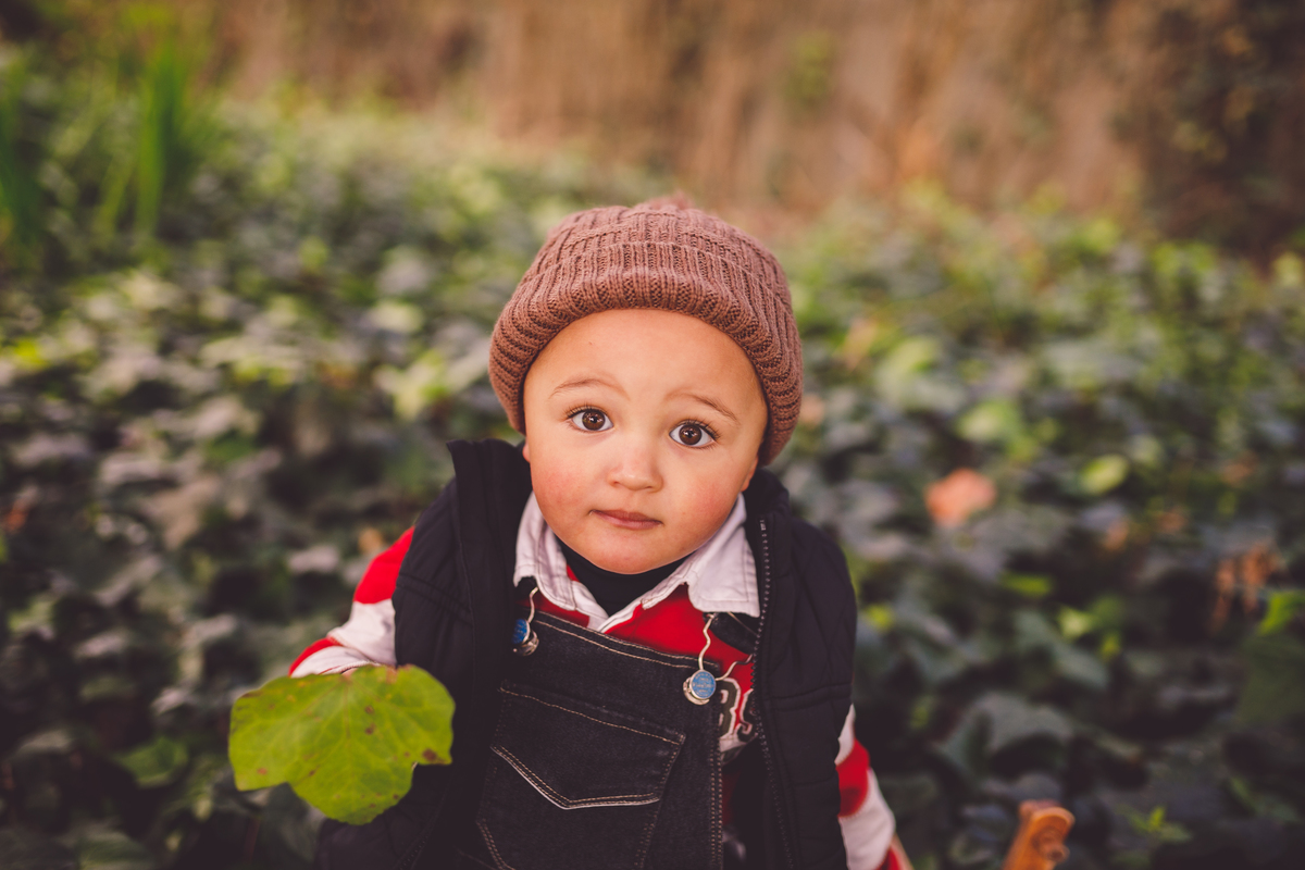 fotografa familia curitiba - ensaio externo bosque alemão - Thiago 2 anos