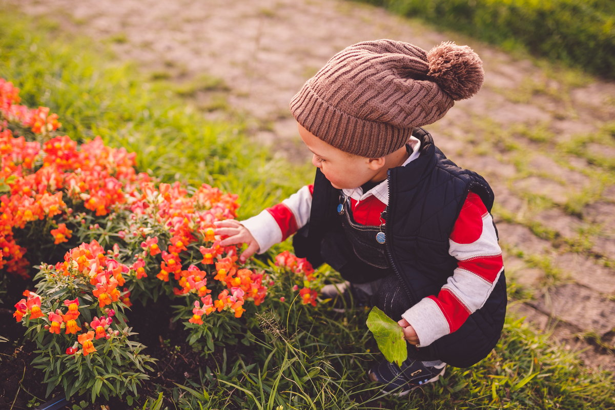 fotografa familia curitiba - ensaio externo bosque alemão - Thiago 2 anos