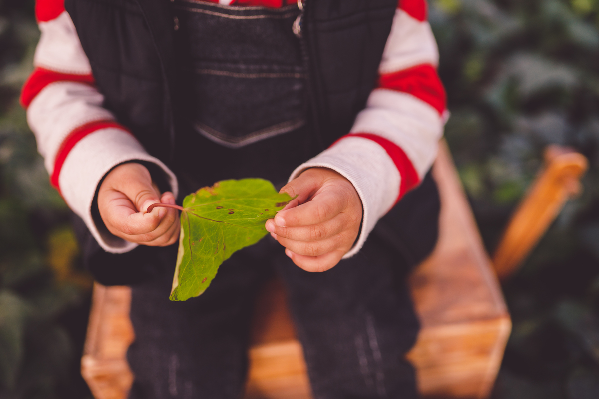 fotografa familia curitiba - ensaio externo bosque alemão - Thiago 2 anos