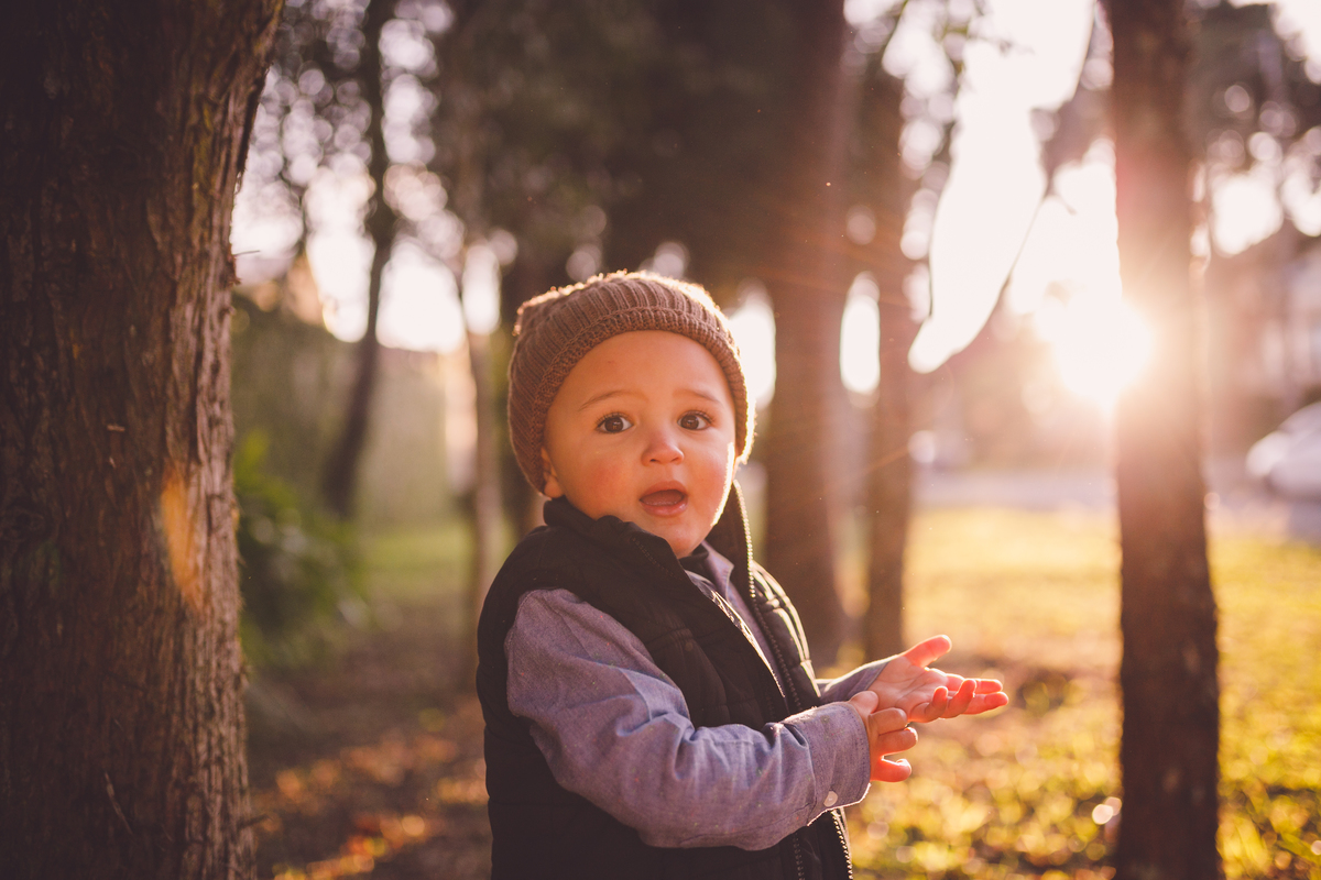 fotografa familia curitiba - ensaio externo bosque alemão - Thiago 2 anos