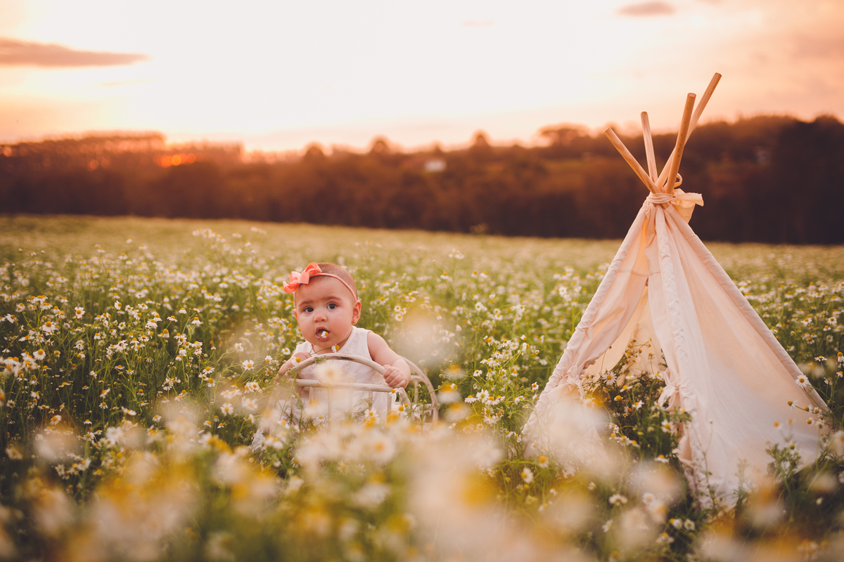 fotografa familia curitiba - ensaio externo camomila Helena 7 meses