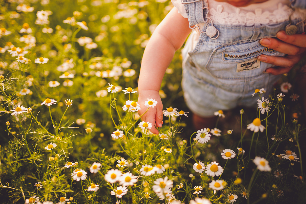 fotografa familia curitiba - ensaio externo camomila Helena 7 meses