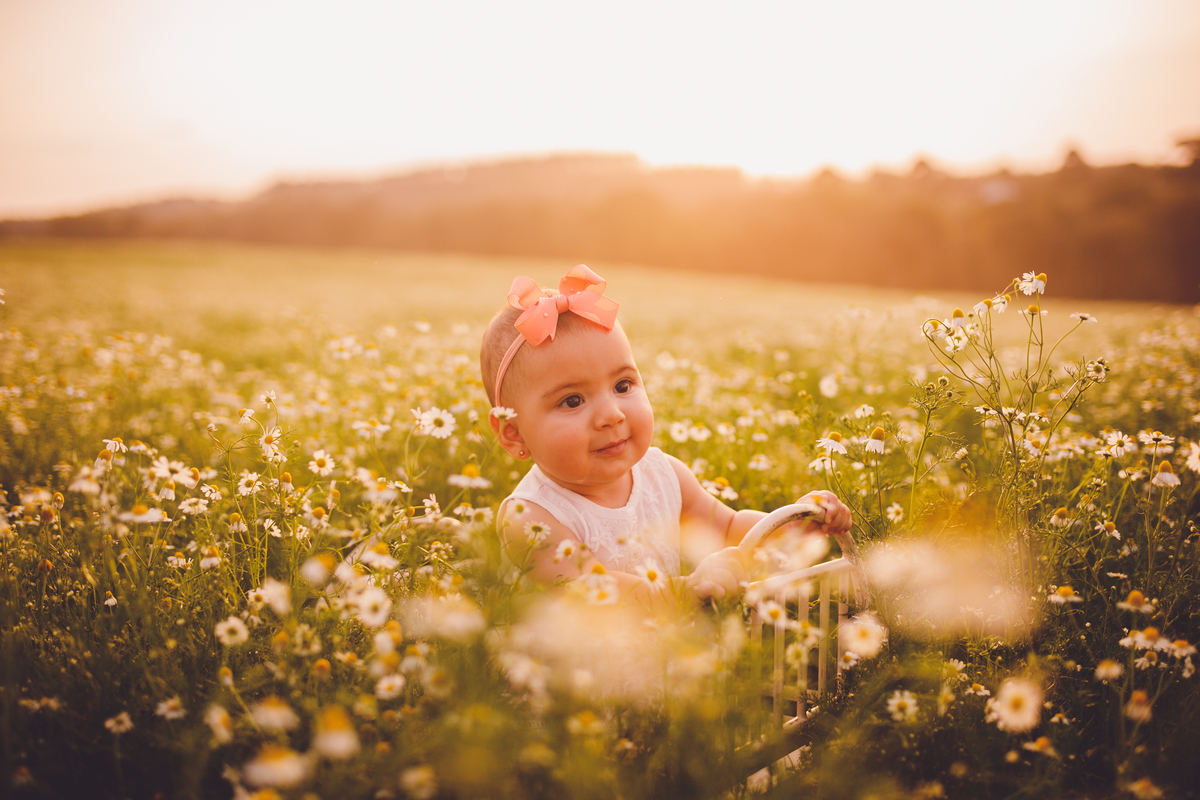 fotografa familia curitiba - ensaio externo camomila Helena 7 meses