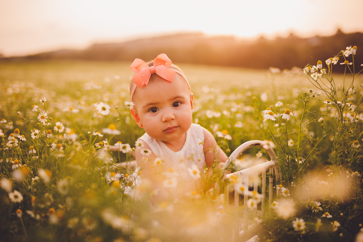 fotografa familia curitiba - ensaio externo camomila Helena 7 meses