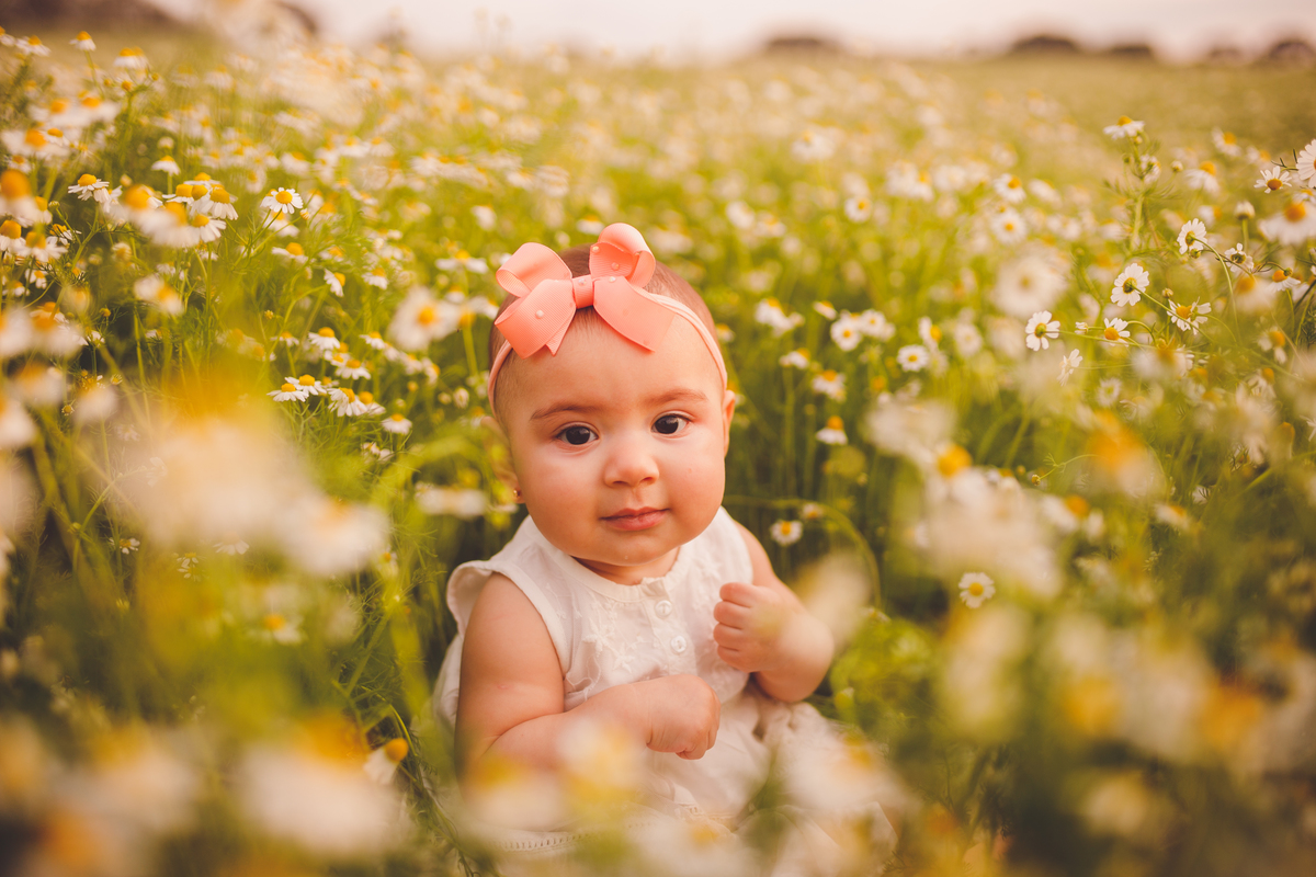 fotografa familia curitiba - ensaio externo camomila Helena 7 meses