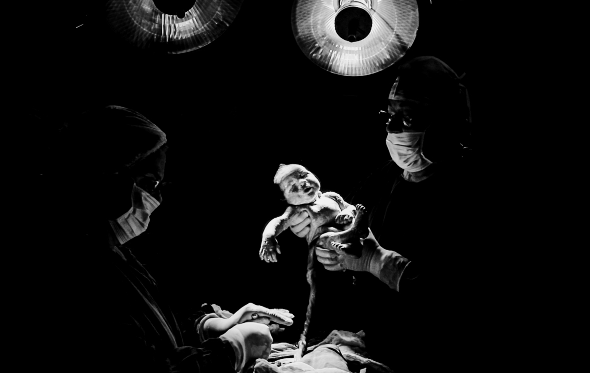 fotografa familia curitiba - nascimento theo