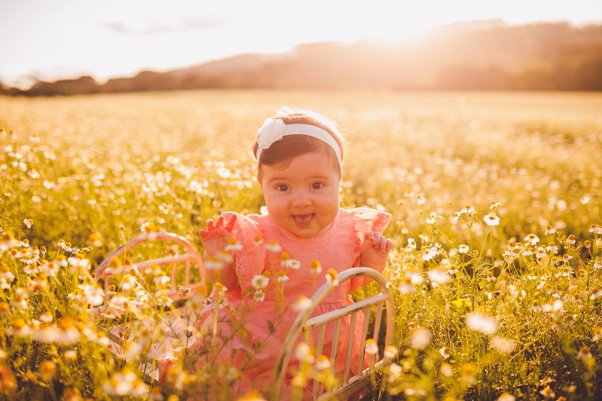 fotografa familia curitiba - ensaio externo campo camomila