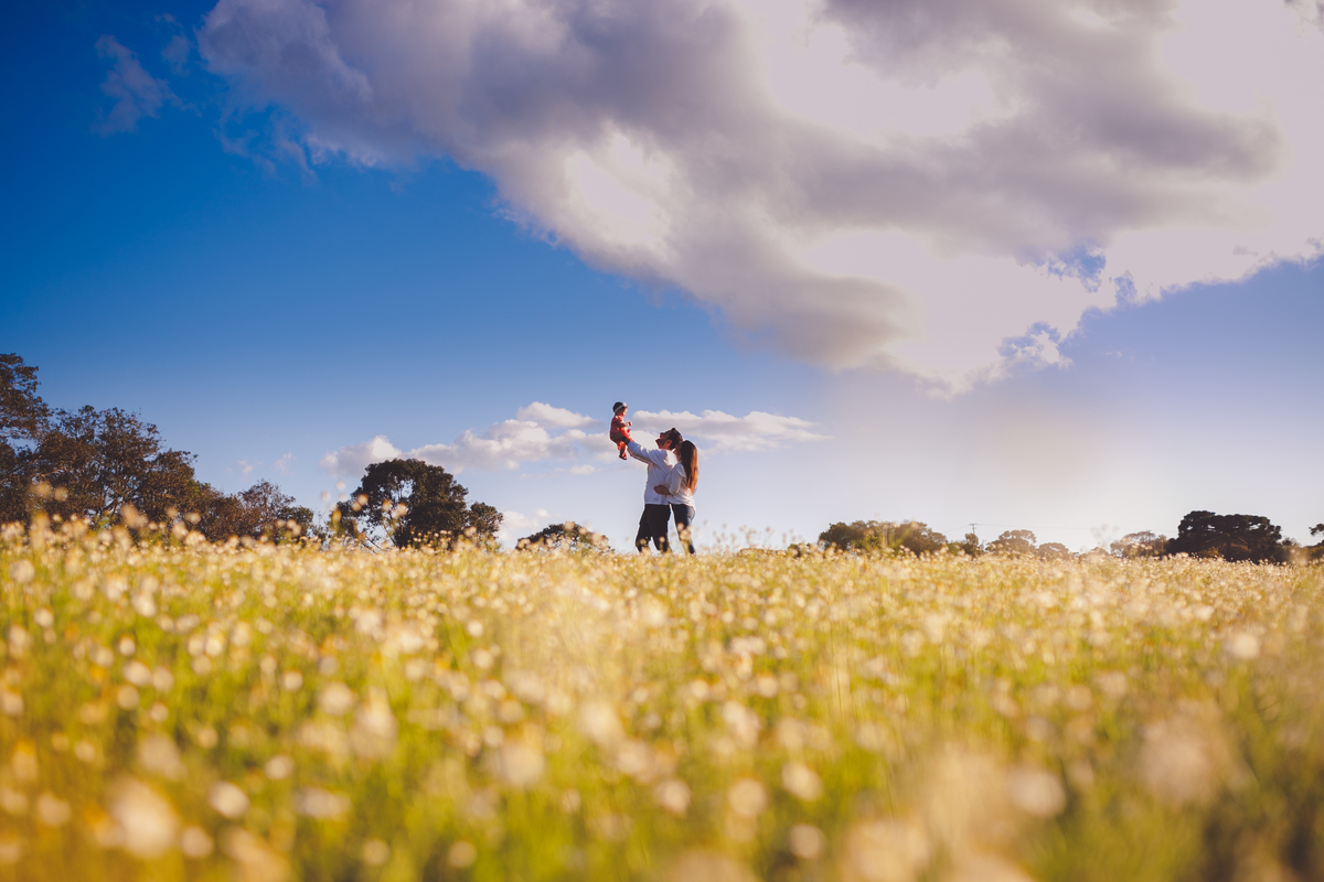 fotografa familia curitiba - ensaio externo campo camomila