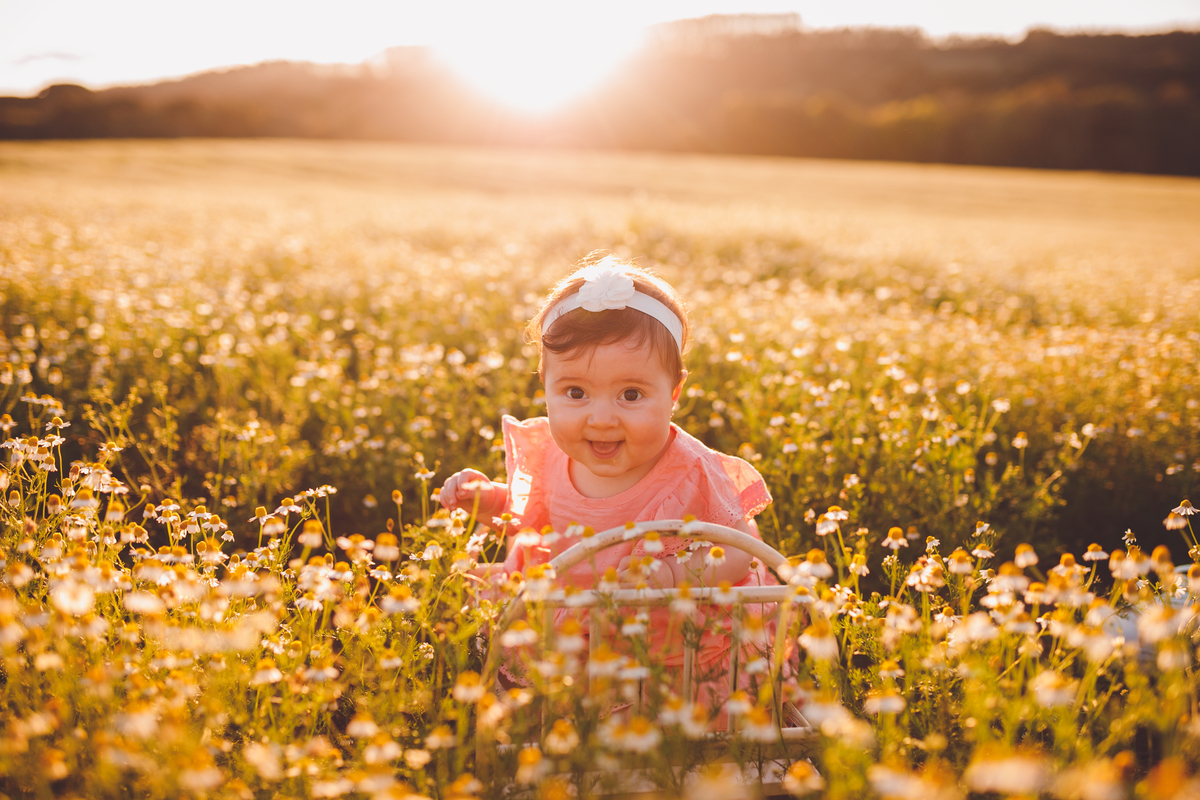 fotografa familia curitiba - ensaio externo campo camomila