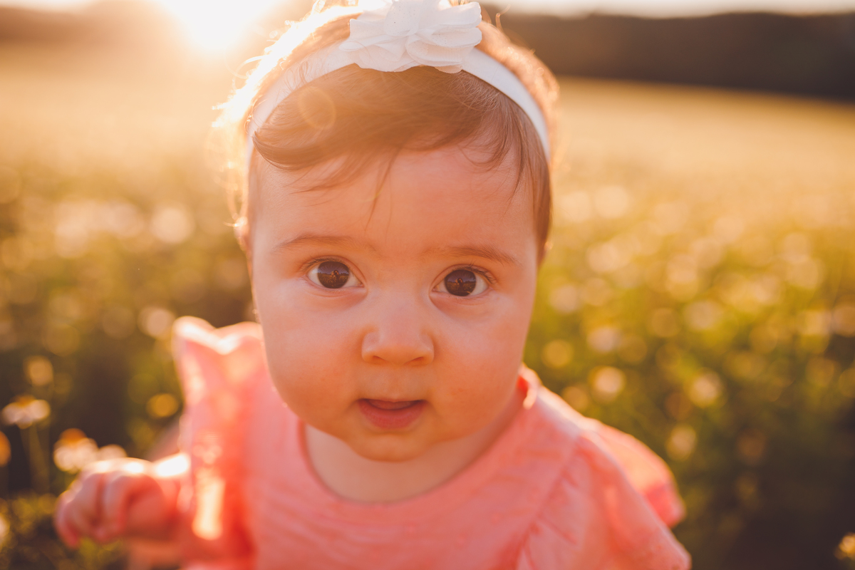 fotografa familia curitiba - ensaio externo campo camomila