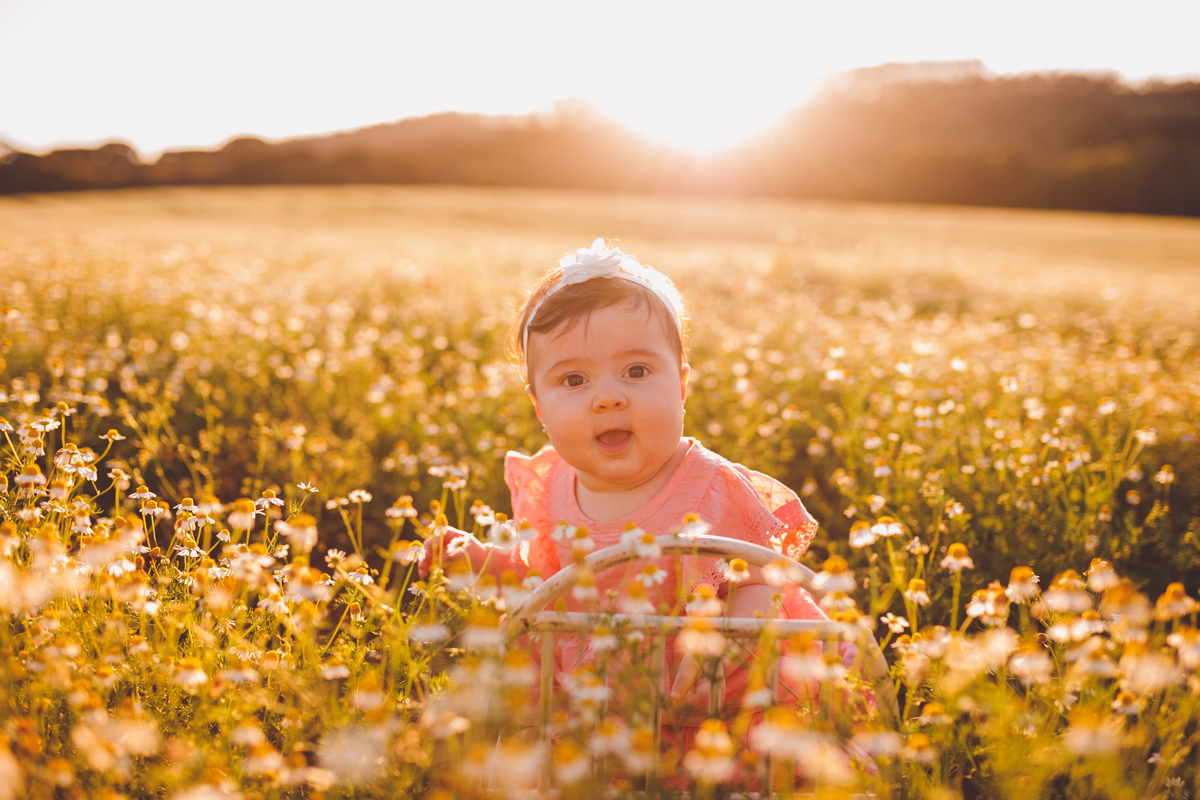 fotografa familia curitiba - ensaio externo campo camomila