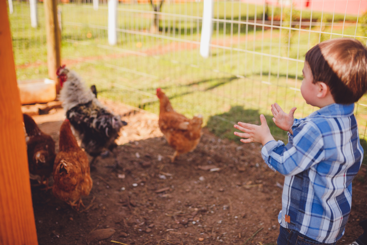 fotografa familia curitiba - ensiao externo lucas